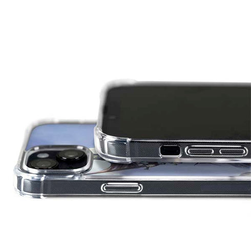 Frazetta Sliver Warrior iPhone 14 MagSafe Case